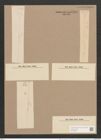 Synedra acus var. delicatissima (W. Sm.) Grun. (de-Toni-Nr.: Genus 66, Species 2590) Zeichnungen Sammlung Grunow Nr. 5274 (NHMW-BOT-W0373658)